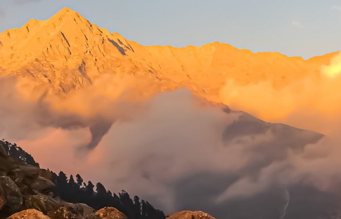 Panaromic Himachal - Photo 4