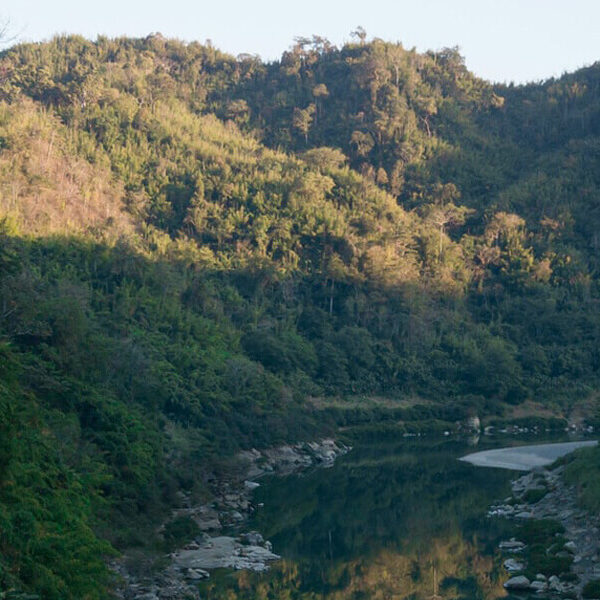 11Nagaland, Mizoram, Tripura & Manipur