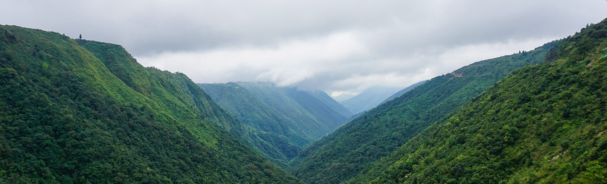 Assam and Meghalaya