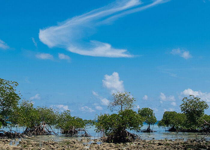 Andaman & Lakshadeep Islands