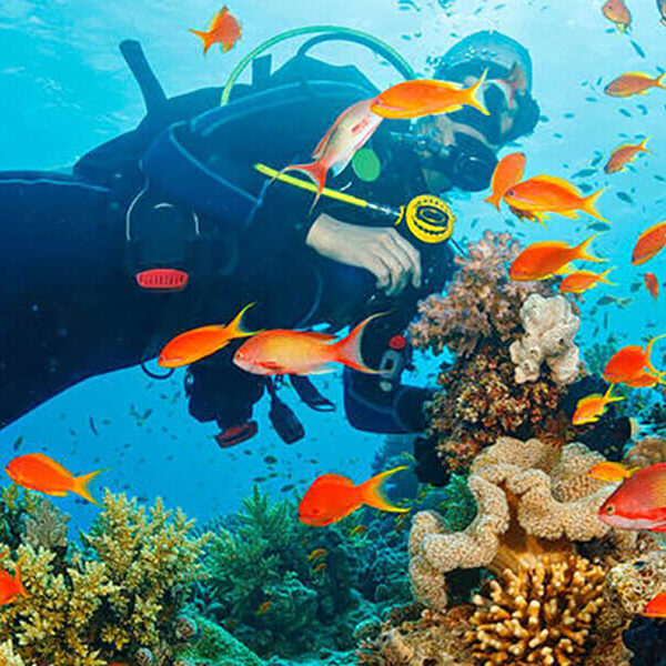 11Andaman Scooba Diving