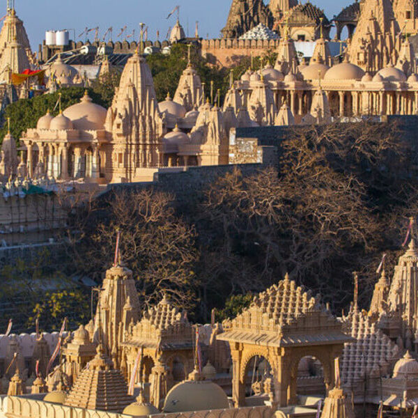 11Divine Temple Tour of Gujarat Tour