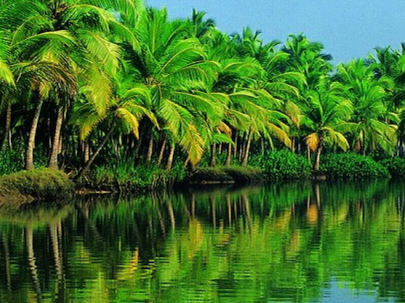 Essence of Kerala