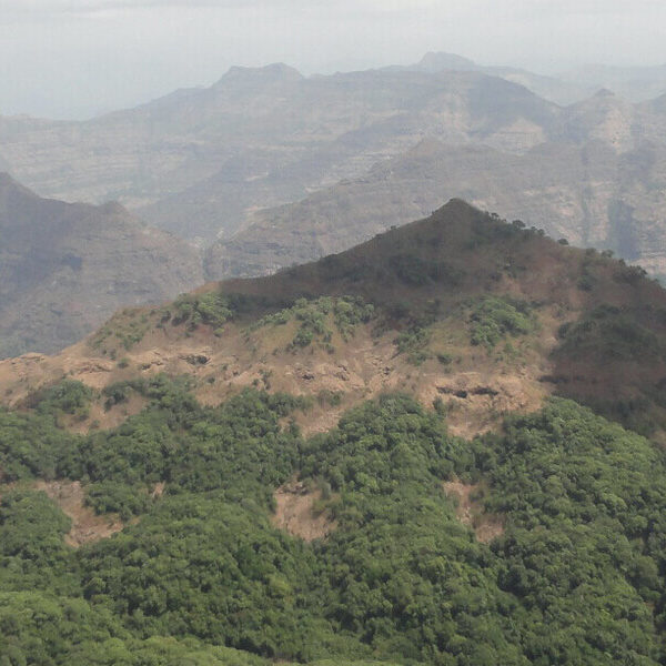 11Mahabaleshwar Tour