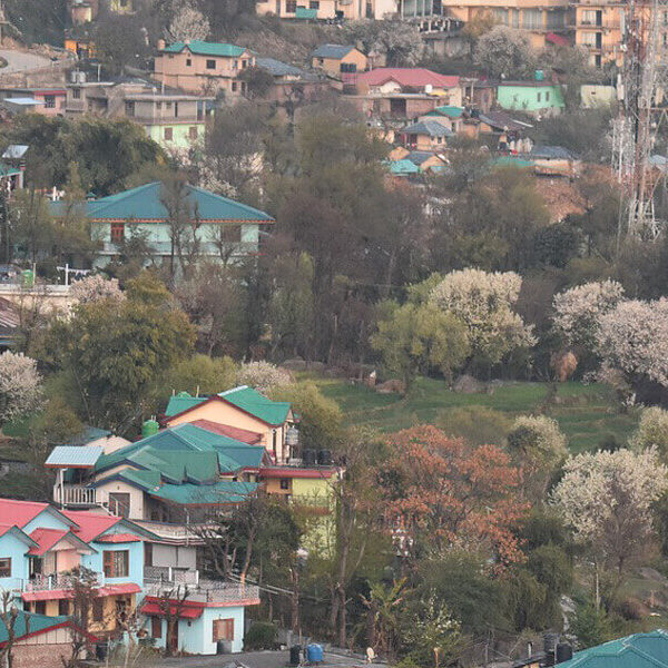 11Dharamshala Treking Tour