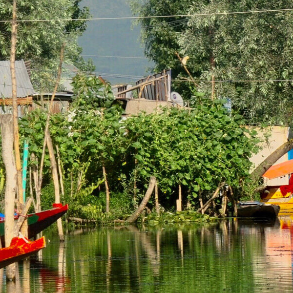 11Idyllic Kashmir Tour