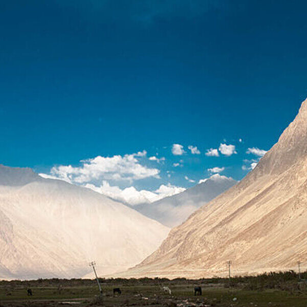 11Splendid Ladakh Tour