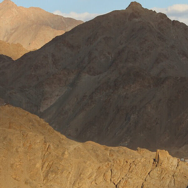 11Splendid Ladakh Tour