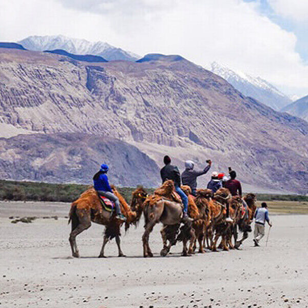 11Incredible Ladakh Tour