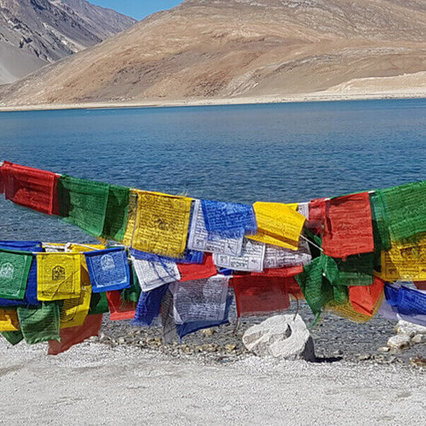 11Amazing Ladakh Tour with Pangong Tour
