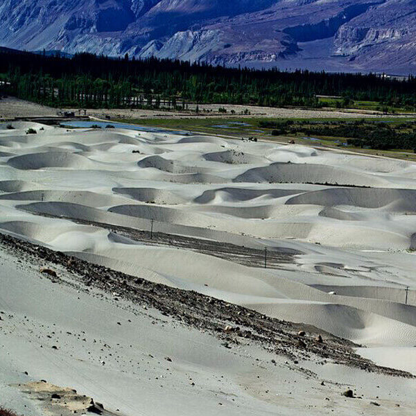 11Majestc Leh Ladakh Tour