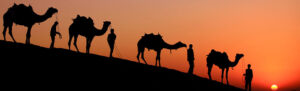 Explore Desert of Rajasthan Tour