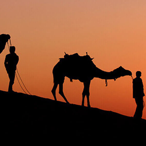 11Explore Desert of Rajasthan Tour