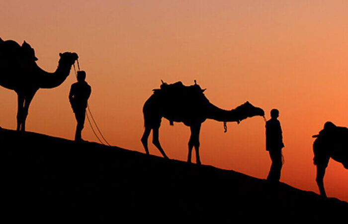 Explore Desert of Rajasthan Tour