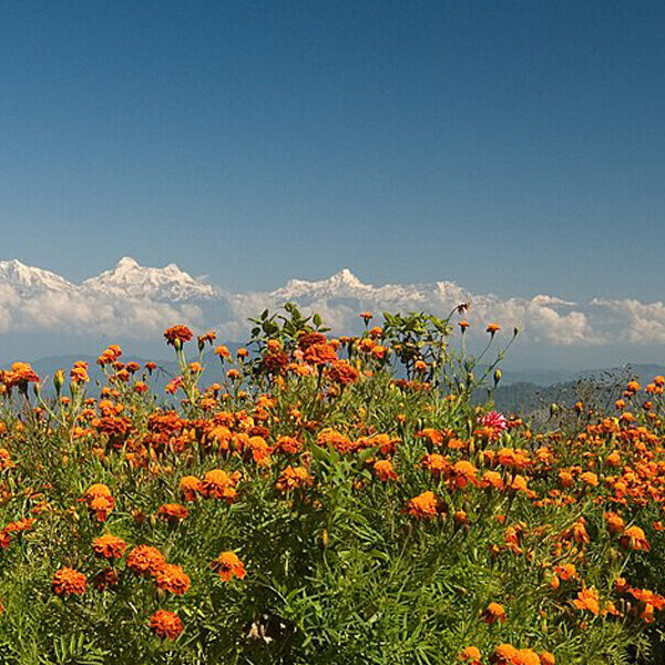 11Splendors of Uttarakhand and Uttaranchal Tour